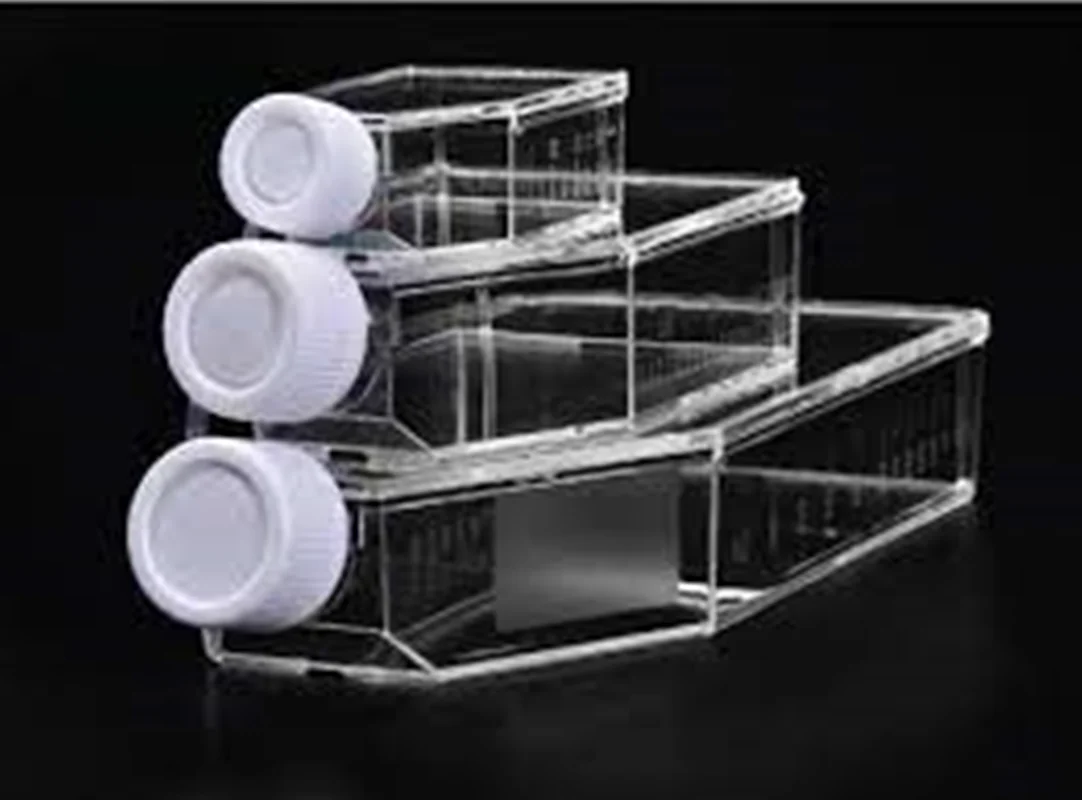 فلاسک کشت سلول T25 نچسب فیلتردار SPL کد 70325 بسته 5 عددی